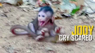 OMG! What Happen? Why Baby Jody Crying Seizure 💔😭 Scared Like This?