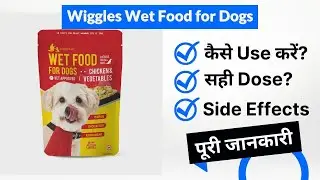 Wiggles Wet Food for Dogs Uses in Hindi | Side Effects | Dose