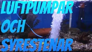 Odla i vatten - Luftpumpar & Syrestenar