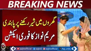 Punjab Lion Ban | Maryam Nawaz Orders Action | Child Vaid Injured | Bionic Arm Support - Aaj News