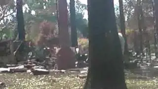 Black Saturday Fire Destruction At Kinglake