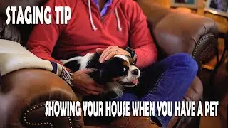 Staging Tip - Selling Your Home When You Have Pets
