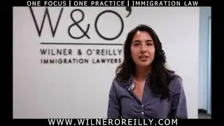 Behind The Scenes at Wilner O'Reilly: Our Dedication to Clients