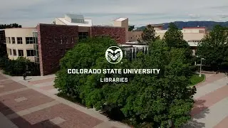 CSU Libraries