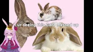 Subnautica? Uh, I sure hope it does | yappy bunny vtuber