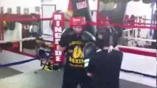 Absolute Boxing Mma Fitness Sarasota - BullyProof