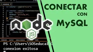 2. Connect Node JS project to MySQL database
