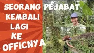 Ladang sawit?? itulah officku @sawit global