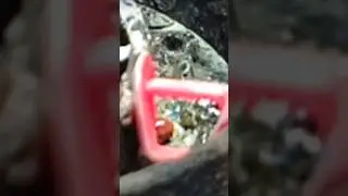 LIONTIN SILVER HANDMADE #handmade #art #satisfying #shortvideo #shorts #short #hawtomake