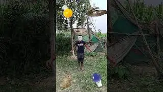 Colourful led night bulb to saap, khargosh, Billi, bhalu magic video vfx #funny #youtube