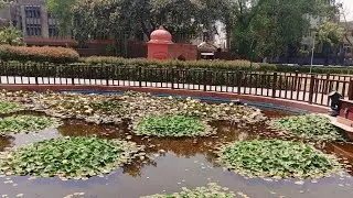 Good morning#sab mere youtube🥰 priwar  ka welcome🎉 💐💥