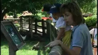 Experience the Deanna Rose Children's Farmstead