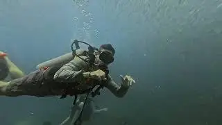 Discovery Divers Koh Samui Thailand. Subscribe!! Book now 🥂☺️