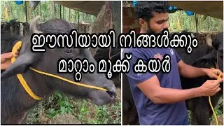 |How to change,tie nose rope easily| how to change,tie nose rope simply| @Mpgreenfarm