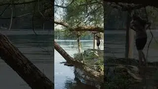 Private swimming area in your campsite #nature #campgrounds #thousandislands