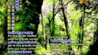 ECOLOGY NEWS - Frunluk Forests Protection Campaign Part of National Efforts to Preserve