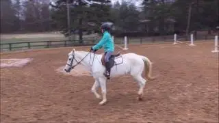 Cameron & Clover Jump