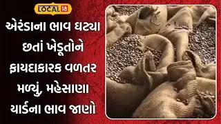 Mahesana APMC News | એરંડાના ભાવ ઘટ્યા છતાં ખેડૂતોને ફાયદાકારક વળતર મળ્યું | Farmers | Local18