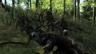 Theory on Non-typical deer in theHunter (Flinter's Killer Instinct Episode 1)