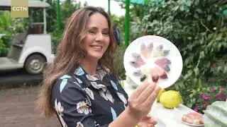 Hainan's tropical revolution: Where global fruit meets innovation