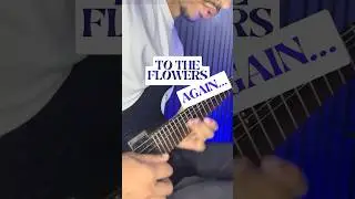 To the Flowers Intro - While She Sleeps (Wanderson Silva Cover)