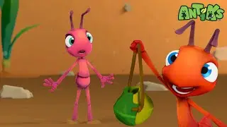 Mud Trap Rescue! | Antiks 🐜 | Funny Cartoons for Kids