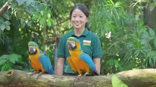 Mandai Wildlife: Conservation through education