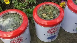Connaitre les tisanes bio NOS PLANTES ONT DU TALENT