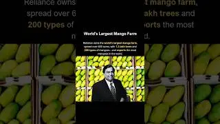 Reliance Owns 600 Acres Mango Farm with Over 1.3 Lakh Trees.