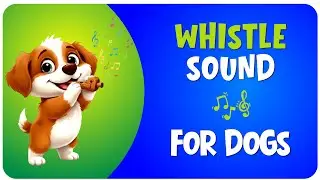 Whistle Sounds For Dogs - Watch How Your Dog Reacts!