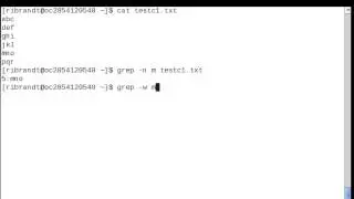 Linux Command (Grep)