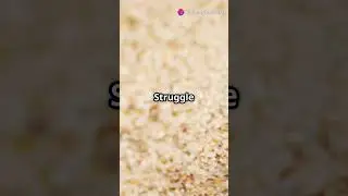 Fell Into Quicksand? &ndash; Watch it, learn it, and float smart. #updatealley #quicksand