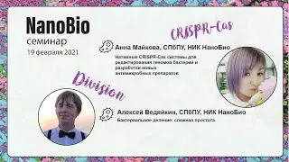 NanoBio семинар 19 февраля 2021. CRISPR-Cas системы для изменения генома прокариот и Деление клетки
