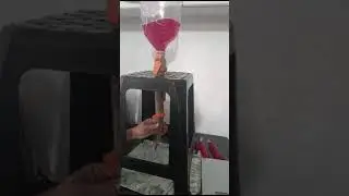 envasadora caseira