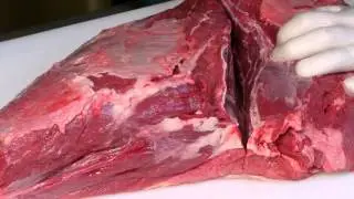 Cutting and Separating the Shoulder Clod