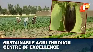 Israel Showcases Centre Of Excellence For Agriculture In Karnal, Haryana | OTV News English