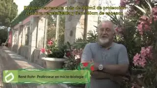 Canevaflor  Muro Vegetal Antirruido Cannes