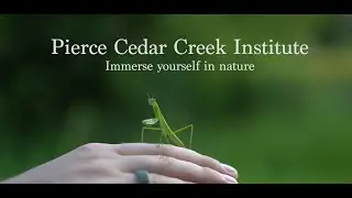 Immerse Yourself in Nature: A Look Inside Pierce Cedar Creek Institute's Field Station