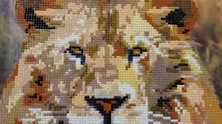 Sparkling Lion! 🦁✨ ANKO Gem Art 5D Diamond Painting DIY Craft & Review #imalidotcom