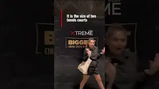 Middle East&rsquo;s largest cinema screen