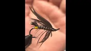 TravelerFlies is live! Tying salmon flies.
