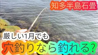 厳しい1月でも穴釣りなら釣果を出せる!?…愛知県 知多半島 衣浦湾 海釣 daiso fishing ロックフィッシュ 穴釣り カサゴ ハゼ