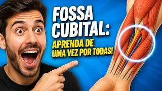 FOSSA CUBITAL  #medicina #anatomia #anatomy #medico #fisioterapia  #anatomiaclinica #angiologia