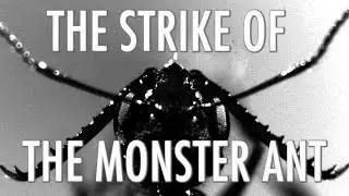 The Strike of the Monster Ant