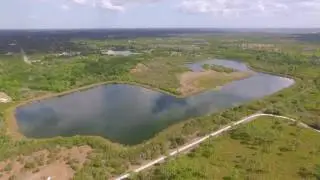 Hal Scott Regional Preserve and Park in Orlando, Florida