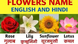 10 Flowers name in english  and hindi/Flowers Name/Flower Name/Phoolon ke naam/फूलों के नाम 