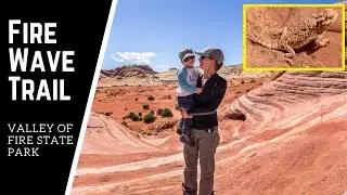 Fire Wave Trail | Valley of Fire State Park | Nevada