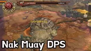 [TOS Re] Nak Muay DPS (balance patch)