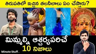 Top 10 Unknown Facts in Telugu | Interesting and Amazing Facts | Part230 | Minute Stuff
