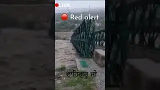 🛑 Red alert ‼️|📍manali‼️  kullu |   🛑 live #shorts #viral #viralvideo #breakingnews #news #update